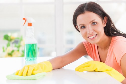 Deep cleaning bathroom fixtures during a move-out clean in Camberwell