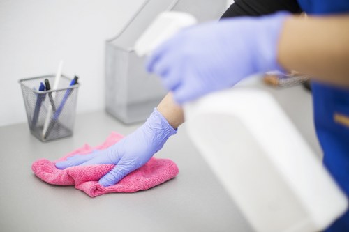 Professional oven cleaner servicing a Camberwell home kitchen