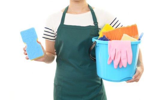 Professional sofa cleaning in a Camberwell home lounge