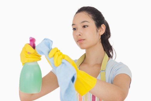 Professional domestic cleaners working in a Camberwell property