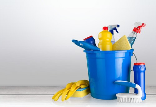 Domestic cleaner servicing a flat in Camberwell with attention to detail