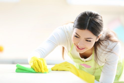 Regular housekeeping and deep cleaning support in Camberwell