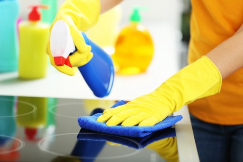 Inclusive browsing experience for Deep Cleaning Camberwell website visitors