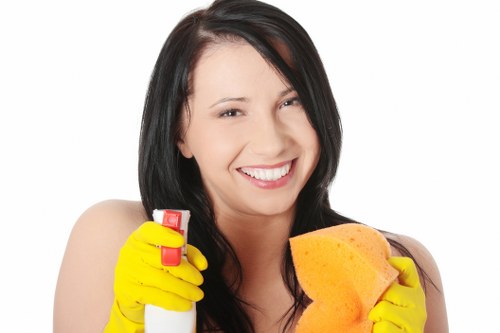 Cleaner discussing booking details and service scope for a deep clean